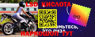 кокс Нальчик