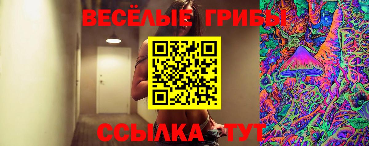 Галлюциногенные грибы GOLDEN TEACHER Тверь