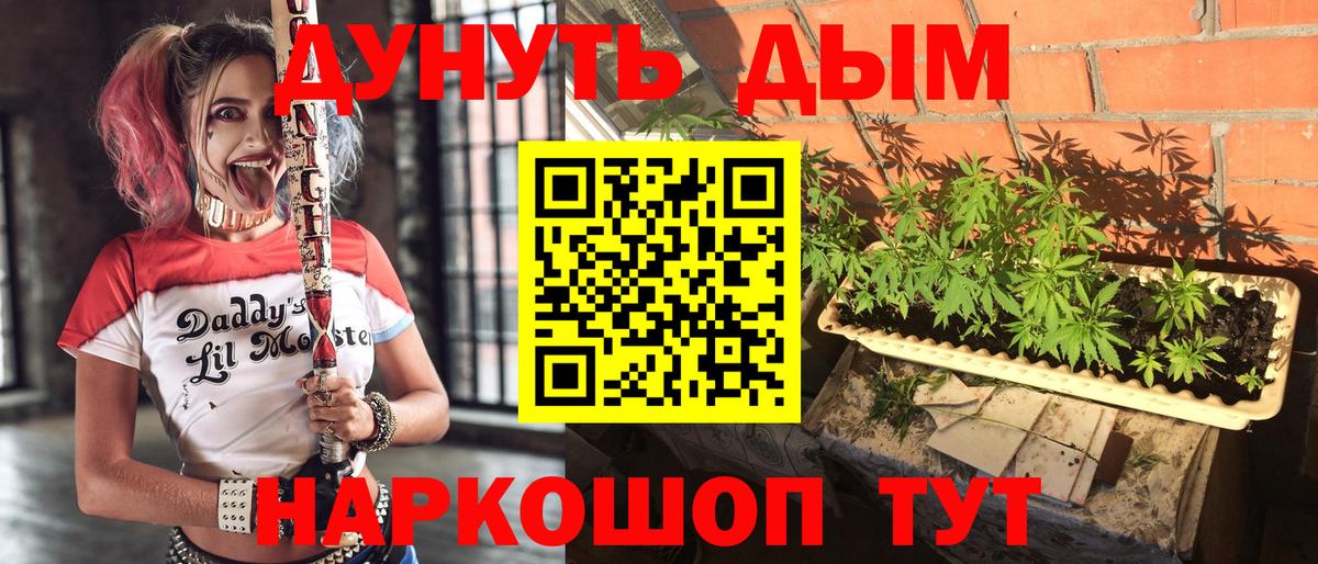 Каннабис планчик Тверь